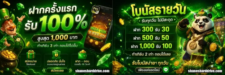 spinhub356 โปรโมชั่น